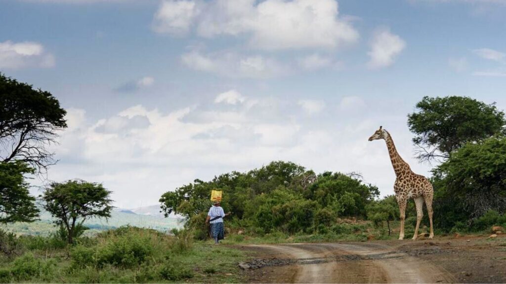 Zululand kzn